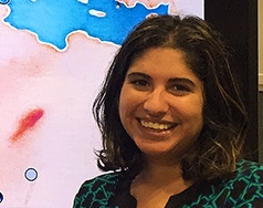 Dr. Roopika Risam
