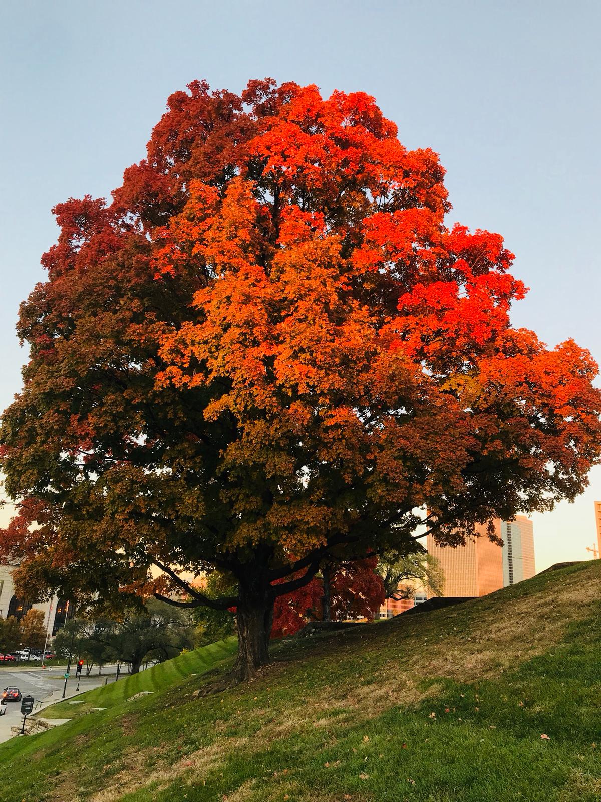 Kansas city